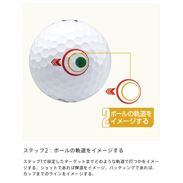 新品　ブリヂストン TOUR BX ホワイト 2ダース　ゴルフボール TOUR B X（ホワイト） [1ダース：12個](ホワイト): ボール