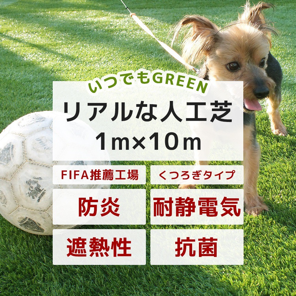 人工芝 ロール Diy 庭 オフィス ベランダ 防炎 耐静電気 いつでもgreen ナチュラルタイプ 芝丈40mm 1m 10m Jq Pctn40 壁紙 Diyインテリア通販 イゴコチ 通販 Yahoo ショッピング