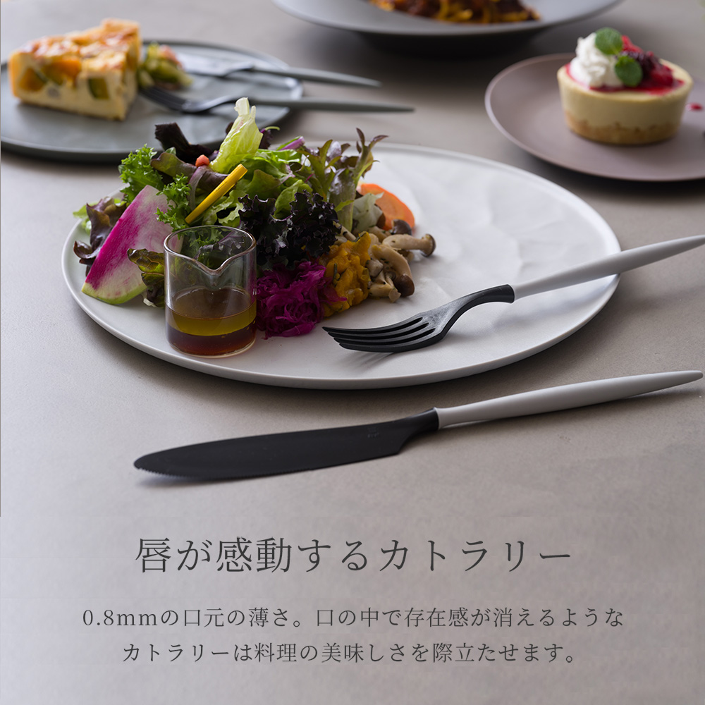 ARAS カレースプーン カトラリー 生涯破損保証 割れない 食洗機対応 黒 白 日本製 カレー専用 エイラス H-N-0 関連画像2