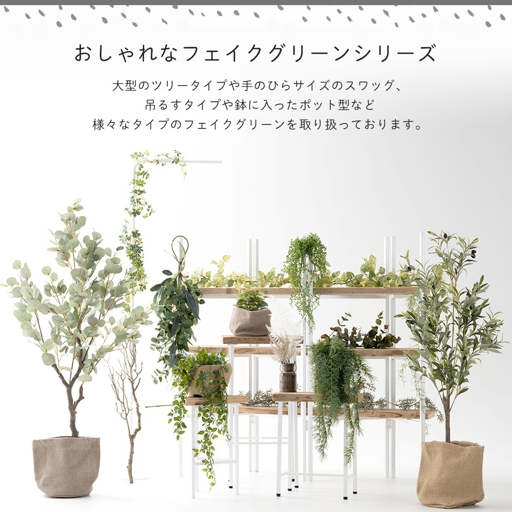 fgra_1.jpg?size=n