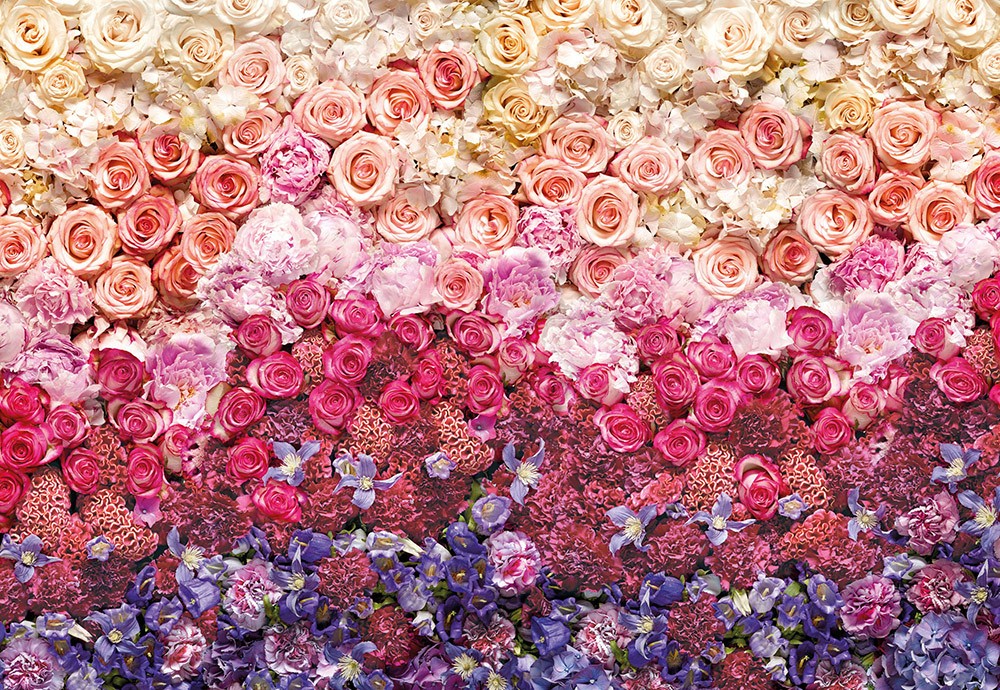 無料印刷可能pc 壁紙 花 おしゃれ すべての美しい花の画像