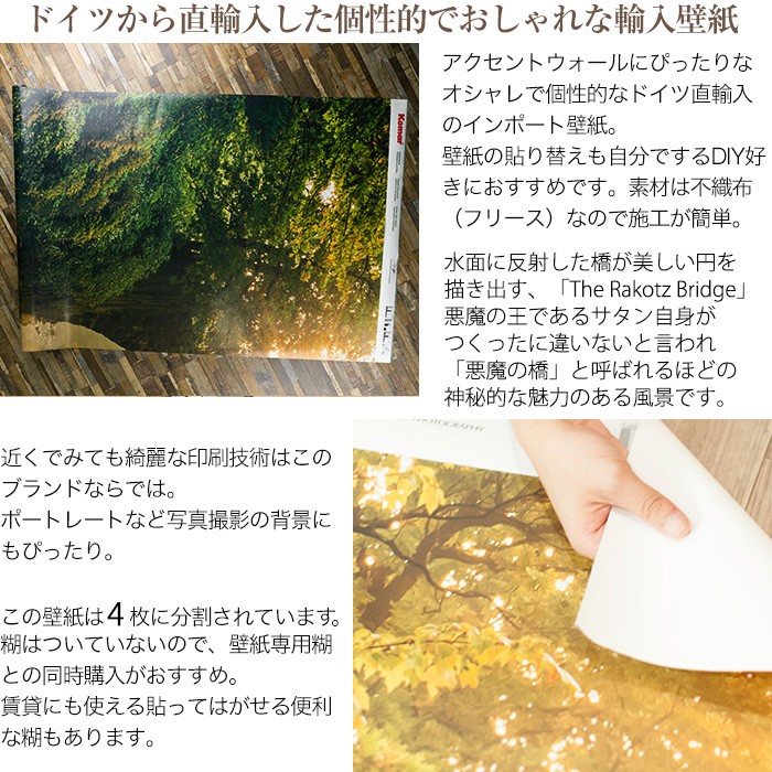 壁紙 風景 張り替え 自分で クロス Diy おしゃれ 輸入壁紙 Devil S Bridge デビルズブリッジ Sh037 Vd4 フリース製 Csz Kgerp013 壁紙 Diyインテリア通販 イゴコチ 通販 Yahoo ショッピング