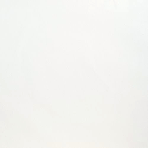 ペンキ 壁紙 DIY 壁 水性塗料 おしゃれ  壁紙の上から塗るペンキ 白 マットウォール ナチュラルホワイト 16kg JQ｜igogochi｜02