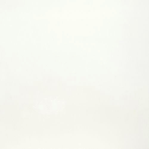 ペンキ 壁紙 DIY 壁 水性塗料 おしゃれ  壁紙の上から塗るペンキ 白 マットウォール ナチュラルホワイト 16kg JQ｜igogochi｜07