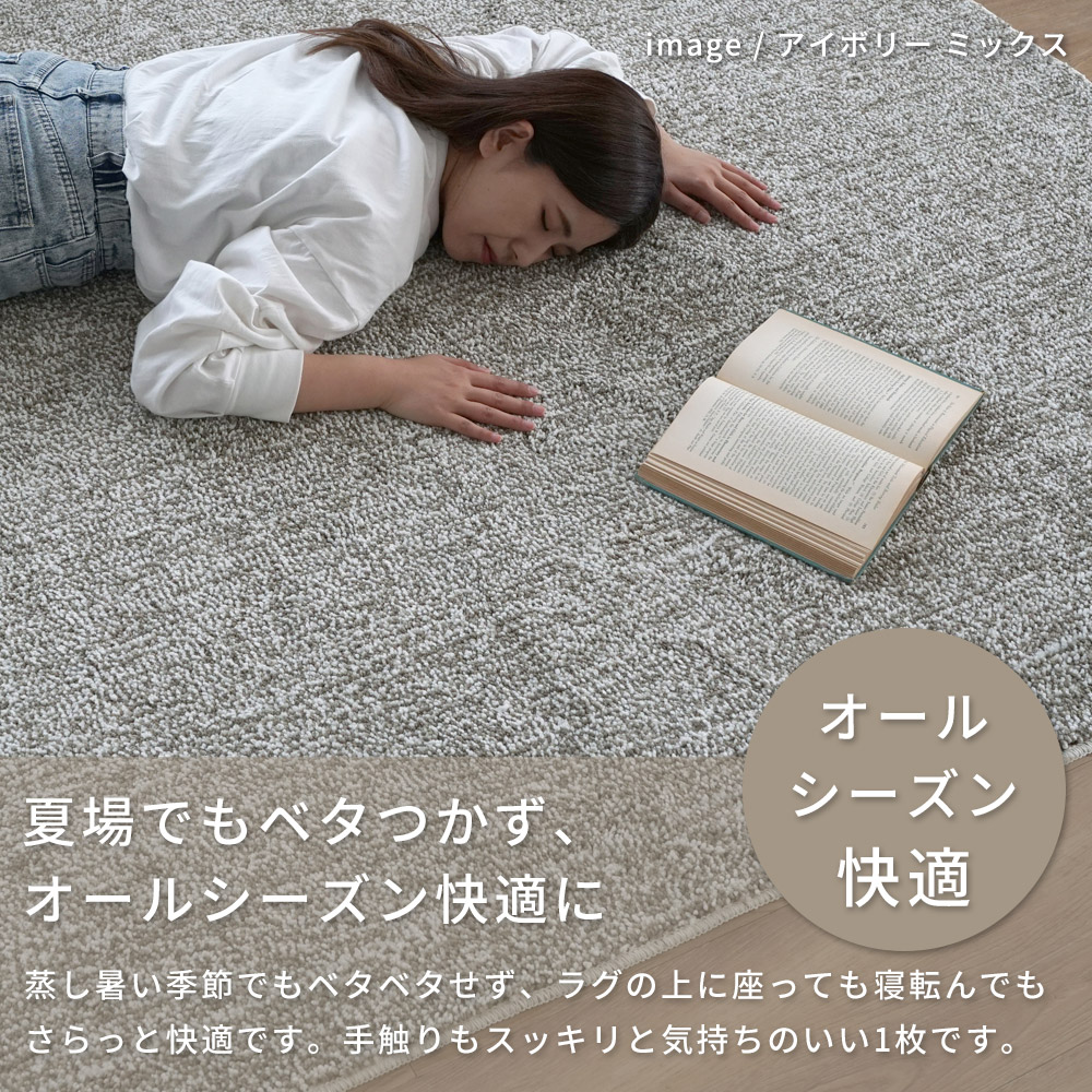 スミノエ ラグ カーペット ラグマット 洗える 抗菌 防臭 防ダニ