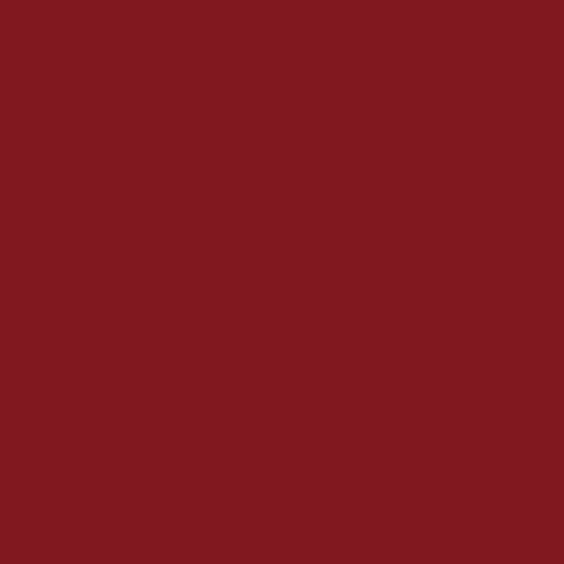 車 塗料 水性塗料 自動車塗料 全塗装 刷毛 ローラー つや消し塗料 艶消し ペンキ 塗装 自分で diy カーペイント モード&トレンド 3kg 全35色 JQ｜igogochi｜04
