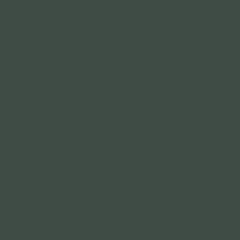 車 塗料 水性塗料 自動車塗料 全塗装 刷毛 ローラー つや消し塗料 艶消し ペンキ 塗装 自分で diy カーペイント モード&トレンド 1kg 全35色 JQ｜igogochi｜08