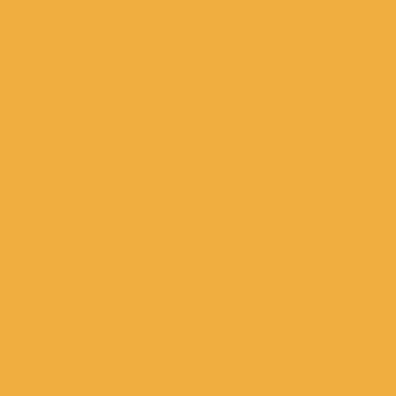 車 塗料 水性塗料 自動車塗料 全塗装 刷毛 ローラー つや消し塗料 艶消し ペンキ 塗装 自分で diy カーペイント モード&トレンド 1kg 全35色 JQ｜igogochi｜06