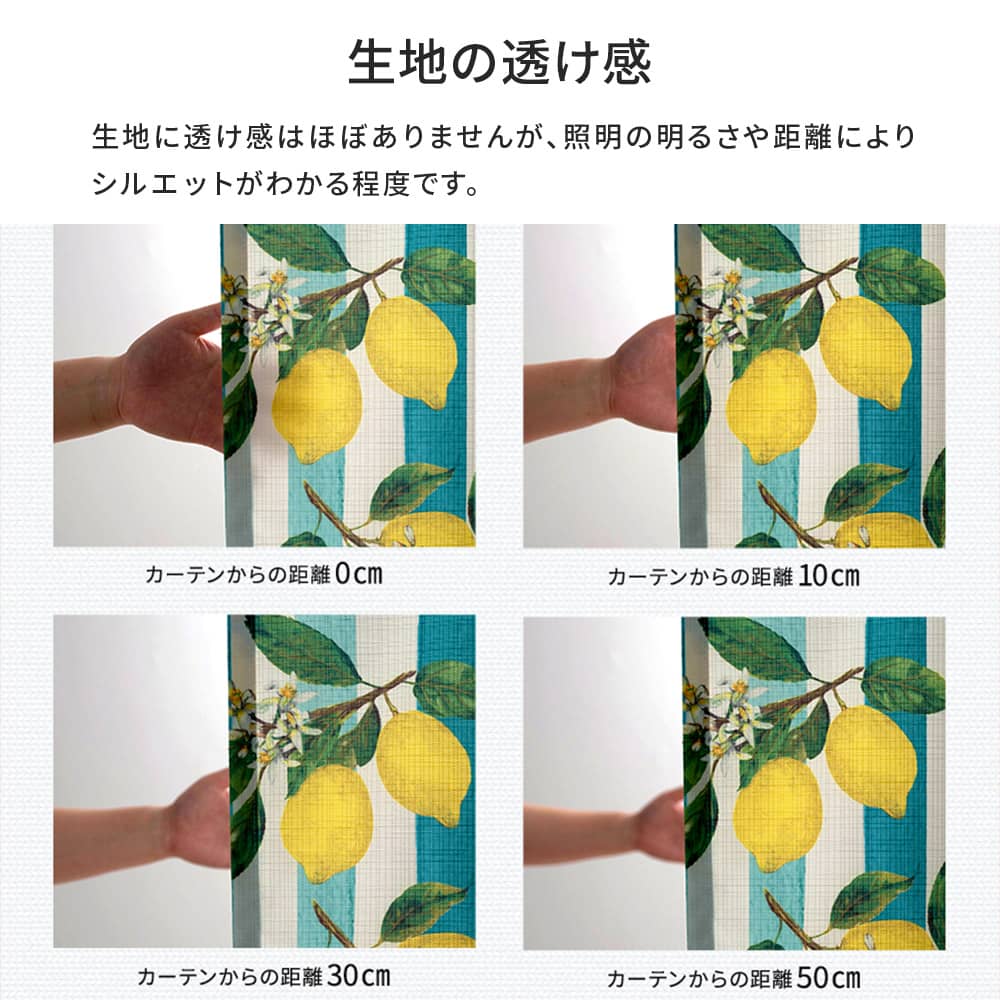 シャワーカーテン 防カビ バスカーテン 撥水 厚手 おしゃれ 透けない 洗面所 間仕切り 遮像 オーダー 幅131cm〜265cm 丈51cm〜100cm 60cm OKC5_12