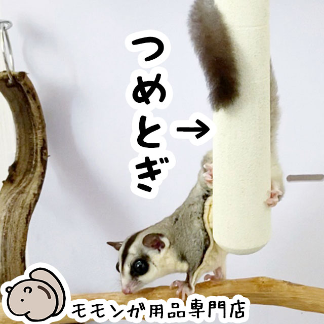 フクロモモンガの爪とぎバー バット型 ももんがもんもん共和国