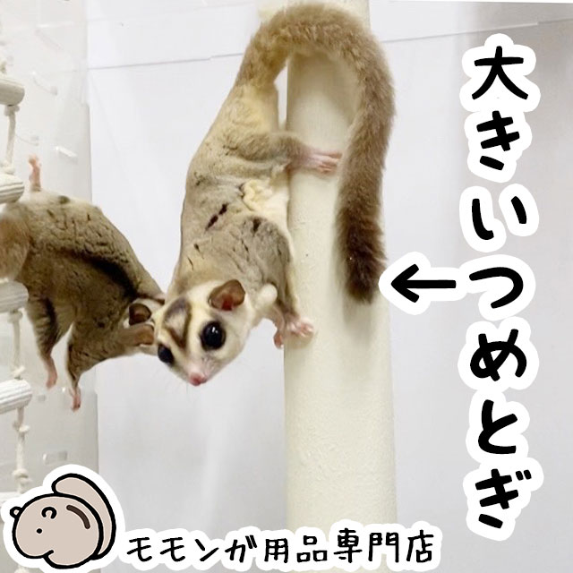 フクロモモンガの爪とぎバー ロングタイプ バット型 ももんがもんもん