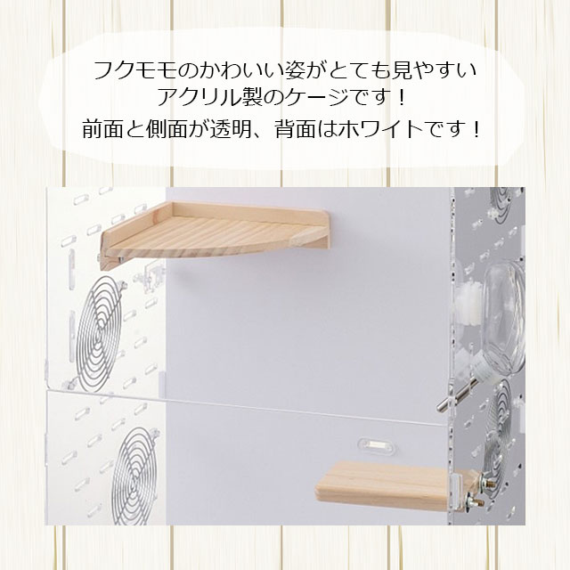 新型」GEX アクリルルームIII 390High ジェックス アクリル