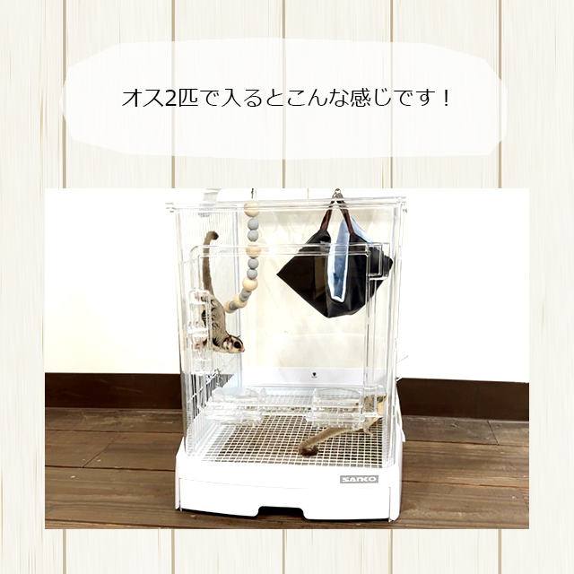 三晃商会 SANKO イージーホーム クリアー モモンガ40 WH