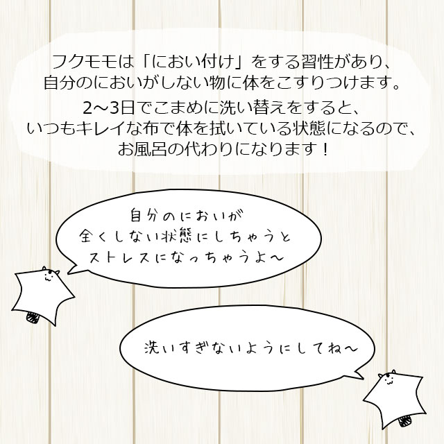 ゆうパケットOK ももんがもんもん共和国オリジナルハンモック02 夏用