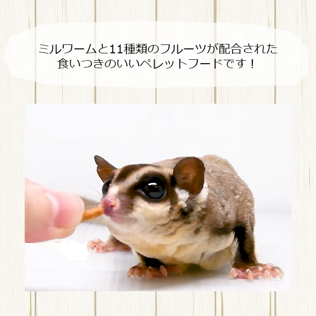 キョーリン ひかりモモン 270g フクロモモンガ専用フード エサ 餌 主食