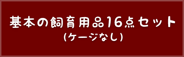 フクロモモンガの飼育初心者セット02 アクリルケージと基本の飼育用品