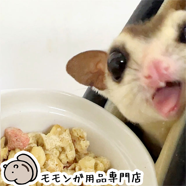 たまごとミルクのフクロモモンガフードwithコオロギ 300g ももんが