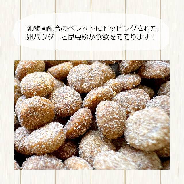 大容量」むしたまやさいプレミアムテイスト 大容量1000g 1kg もんもん