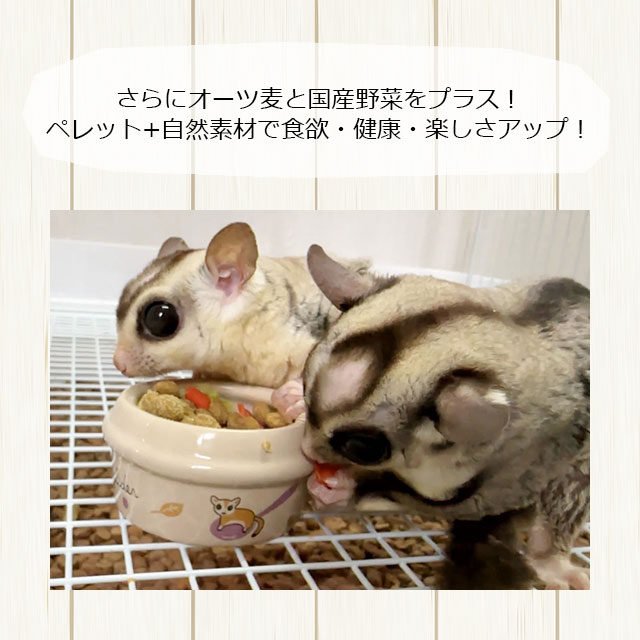 大容量」むしたまやさいプレミアムテイスト 大容量1000g 1kg もんもん