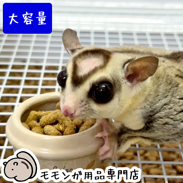 SANKO フクロモモンガフード 300g 三晃商会 サンコー ペレットフード