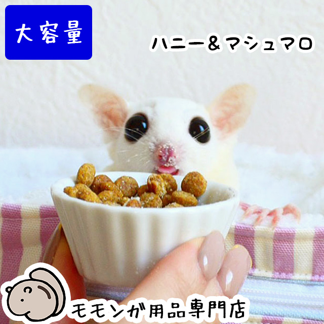 フクロモモンガの飼育初心者セット03 金網ケージと基本の飼育用品