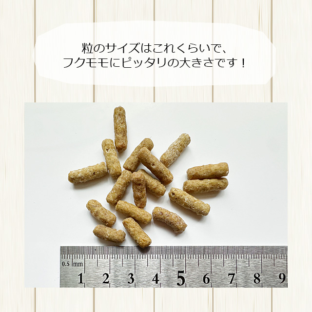 モモンガフードの商品一覧 通販 - Yahoo!ショッピング