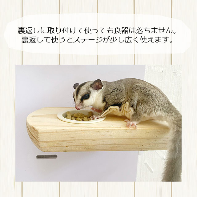 最大44%OFFクーポン 三晃商会 森のステージ食器 J04 小動物用食器 cri.ne.jp