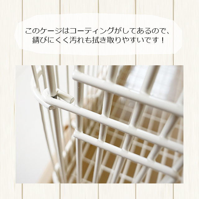 マルカンcasaセレクトゲージ40  フクロモモンガゲージです。最終値下げです selectcage-40-14.jpg