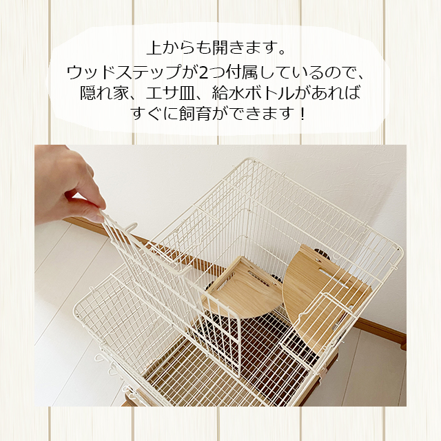 マルカンcasaセレクトゲージ40  フクロモモンガゲージです。最終値下げです 51EbmB2l1ZL._UF350,350_QL50_.jpg