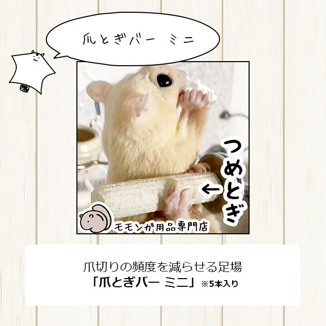 モモンガ飼育セット 数量限定特価セール中！】イージーホーム フクロモモンガ飼育