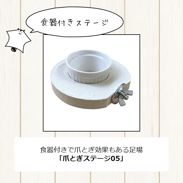 フクロモモンガの飼育初心者セット01 基本の飼育用品セット 専門店が