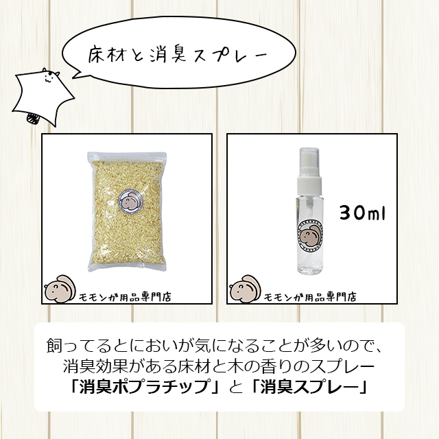 フクロモモンガの飼育初心者セット01 基本の飼育用品セット 専門店が