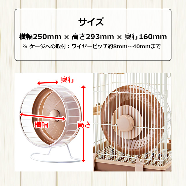マルカン CASA 静音ホイール25 フクロモモンガ用ホイール 回し車