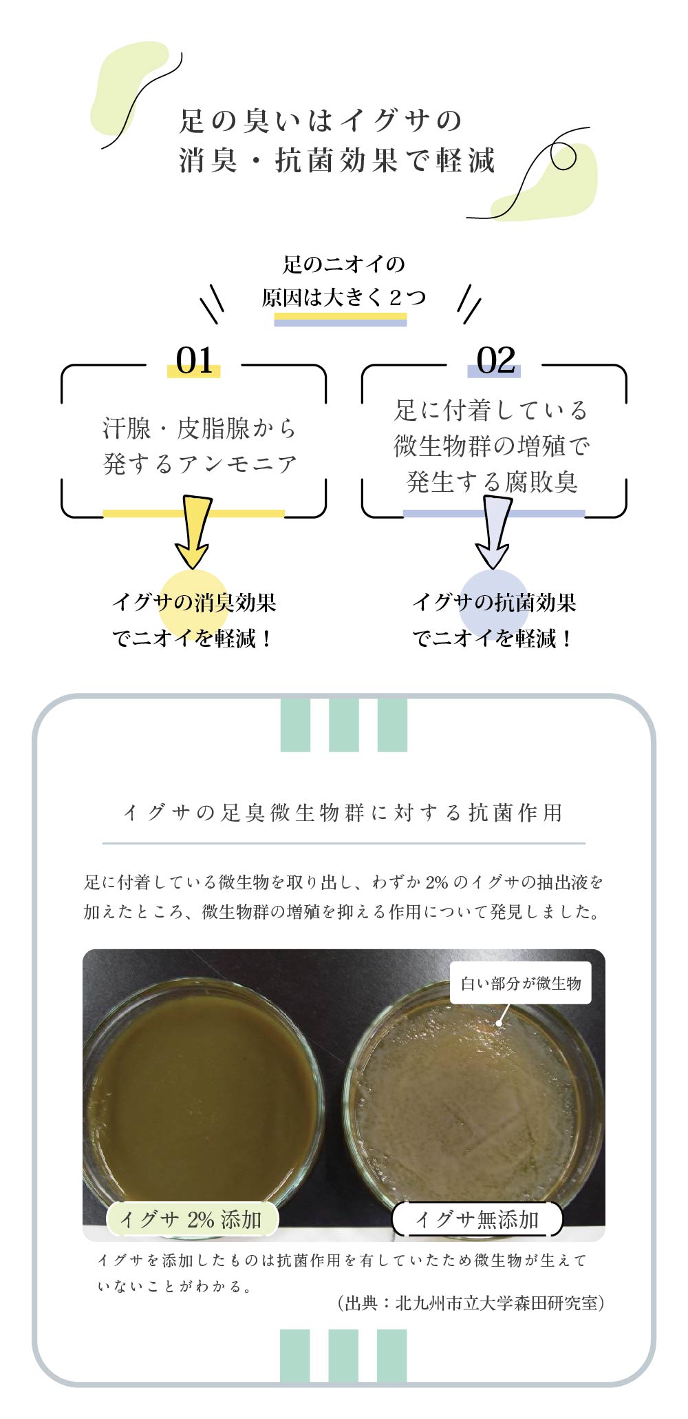 足の臭いはイグサの消臭・抗菌効果で軽減