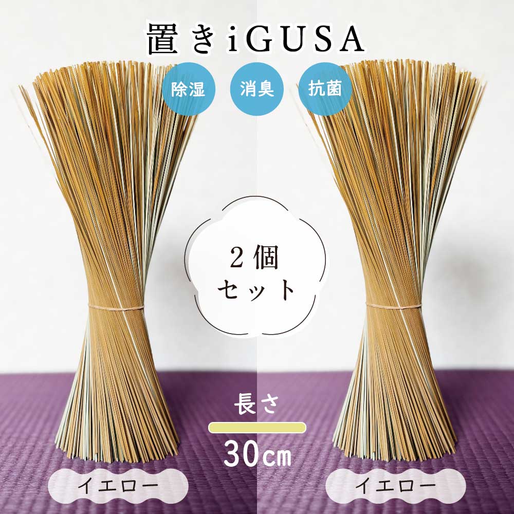 野口（家具、インテリア用品）（色：オレンジ系）のおすすめ人気商品一覧 通販 - Yahoo!ショッピング