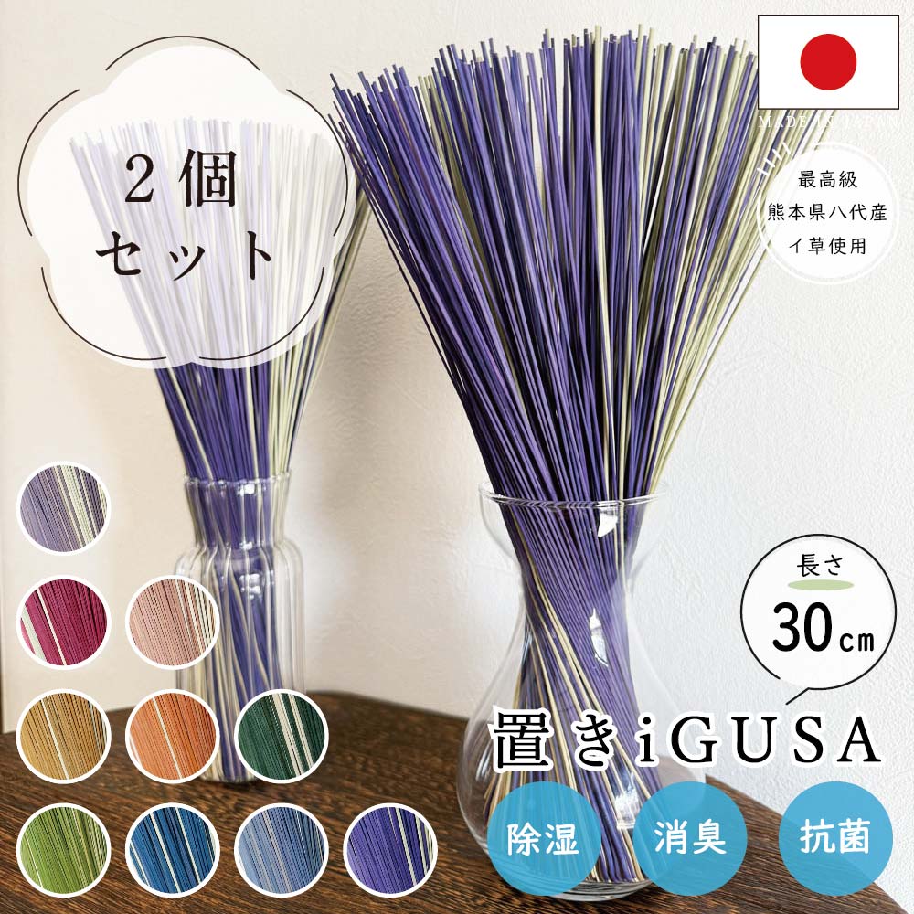 置きい草 2個セット 30cm 100g ドライフラワー イグサ いぐさ 
