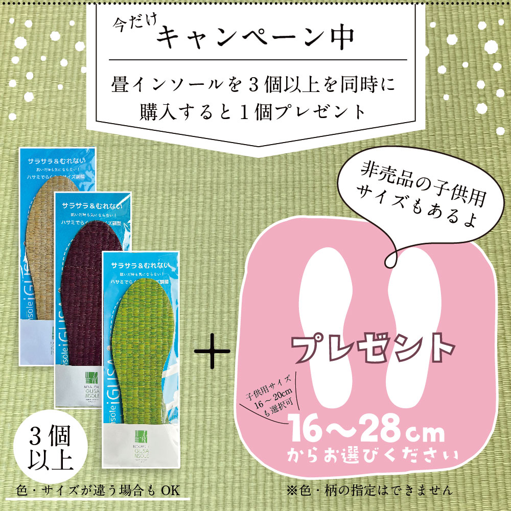 キャンペーン