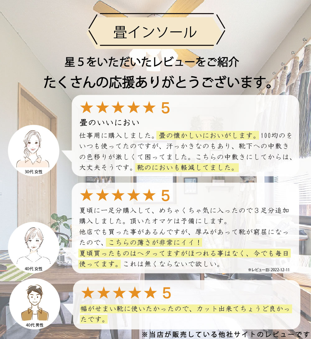 レビュー
