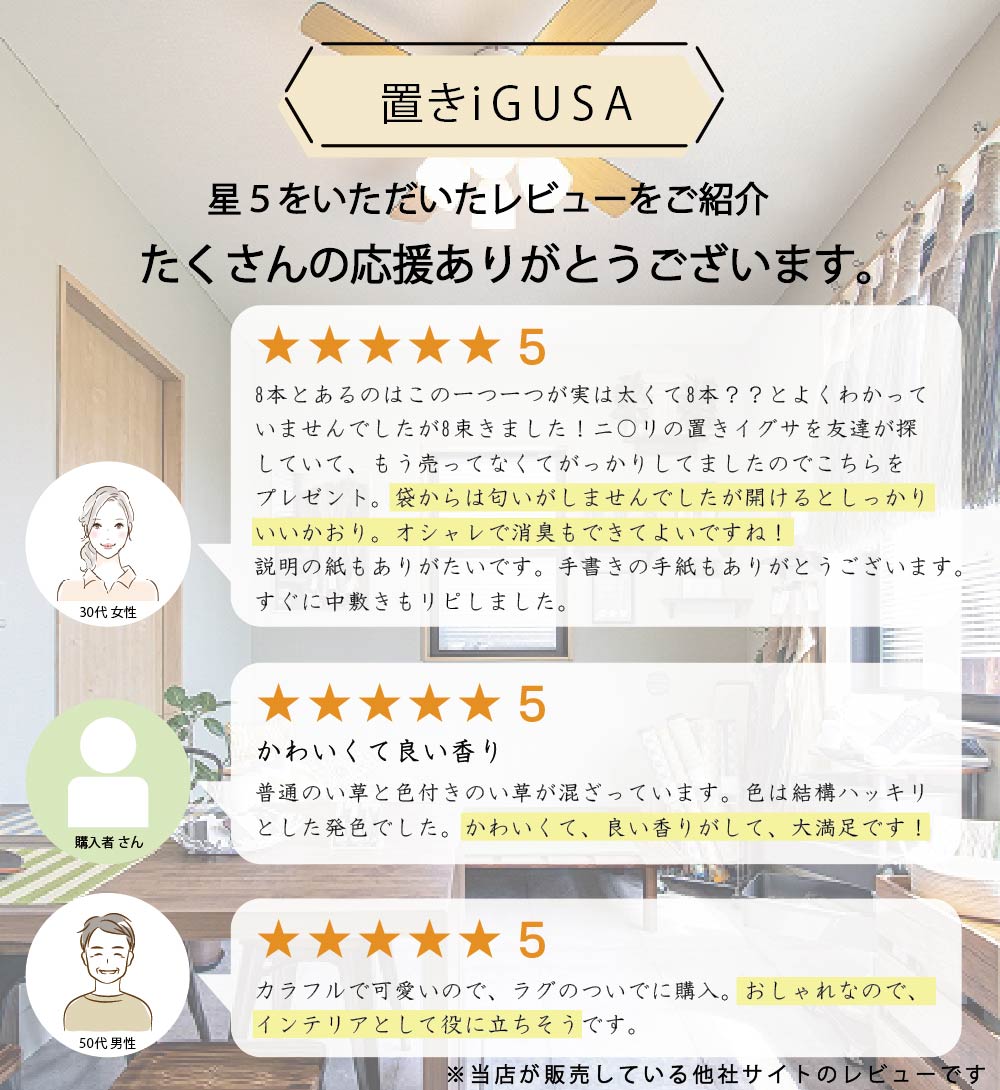 置きイグサレビュー1
