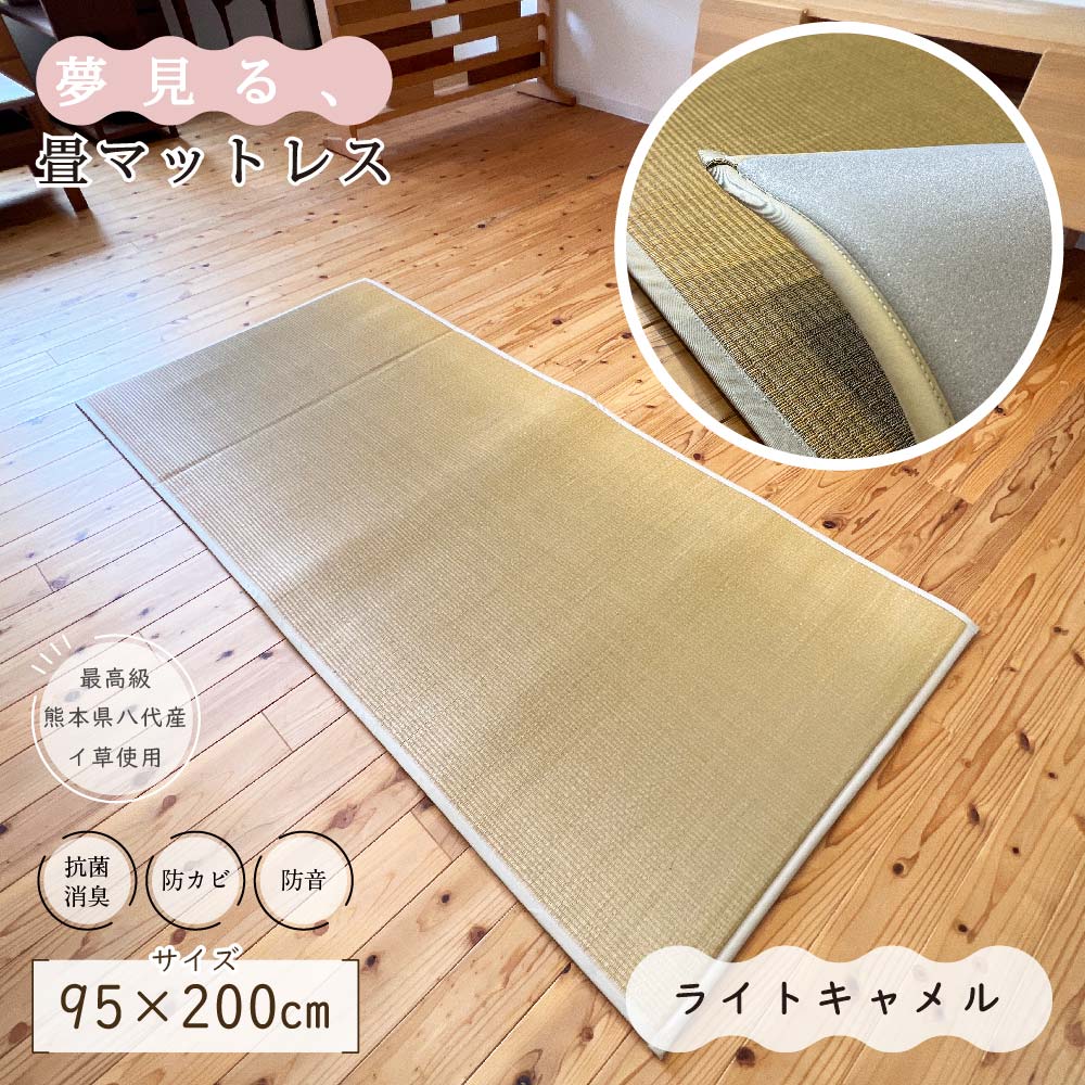 い草ラグ 厚手 畳マットレス 寝ござ おしゃれ 国産 1畳 シングル 布団