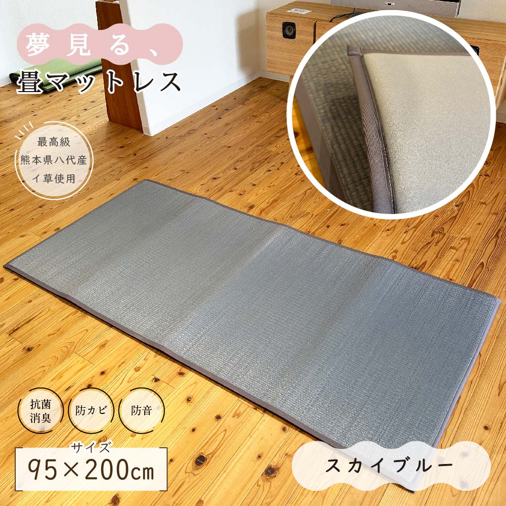 い草ラグ 厚手 畳マットレス 寝ござ おしゃれ 国産 1畳 シングル 布団