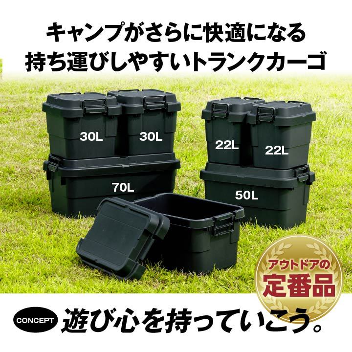 トランクカーゴ 30L 2個セット 収納ボックス ＴＲＵＮＫＣ‐30Ｓ×2Ｐ コンテナ 収納ケース おしゃれ アウトドア DIY ボックス  スタッキング リス 日本製 :9000:い草王国こたつ王国 Yahoo!店 - 通販 - Yahoo!ショッピング