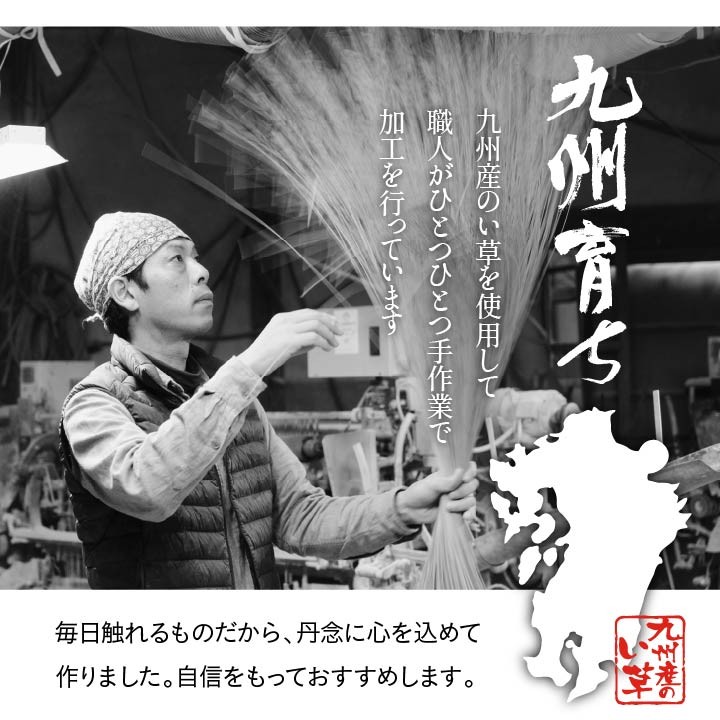 イケヒコ い草座布団 5枚組 国産 片面捺染 五右衛門 55×55cm 5枚