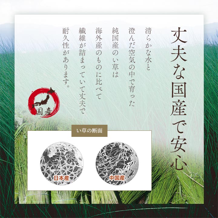 楽天市場】い草 座布団 国産 5枚組 約55×55cm [ い草座布団