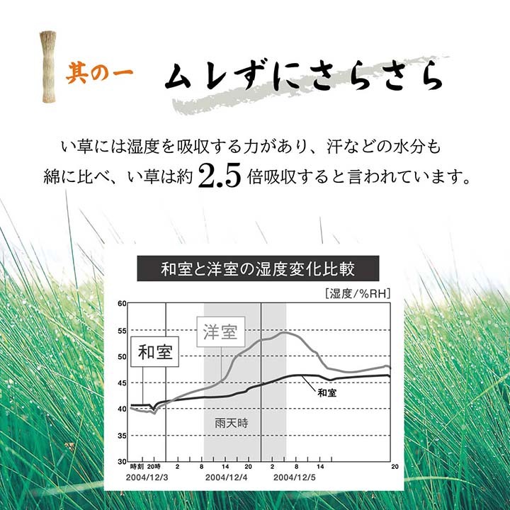 市場 AQUALUNG カリプソ対応 オクトパスABS オクトパス用ホースクリップ アクアラング