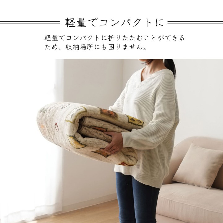 イケヒコ ラグ カーペット 3畳用 DXラーズ 約200×250cm ギャベ柄