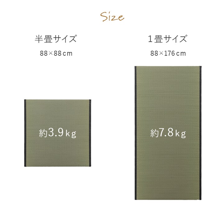 畳 置き畳 国産 ライズ 88×176cm 1畳 日本製 撥水 フローリング い草