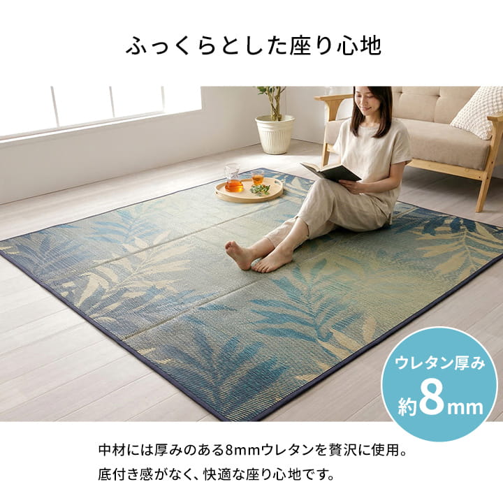 イケヒコ い草ラグ カーペット 3畳 ヴァレン 約200×250cm 夏用 ラグ