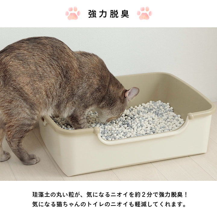 猫清 International Cat Day🐈💕 8月8日｢世界猫の日｣ 世界中のねこ