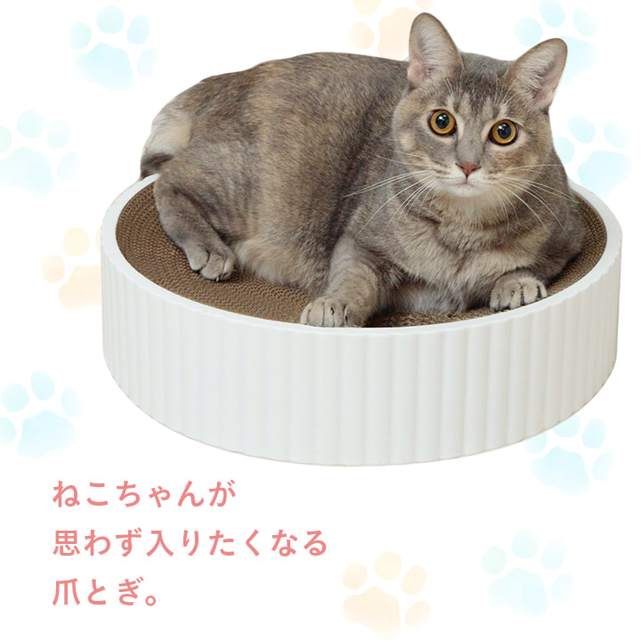 ネコ丸様 確認用 充電式まんまるねこちゃんセンサーライト 3機種【2月3日発売